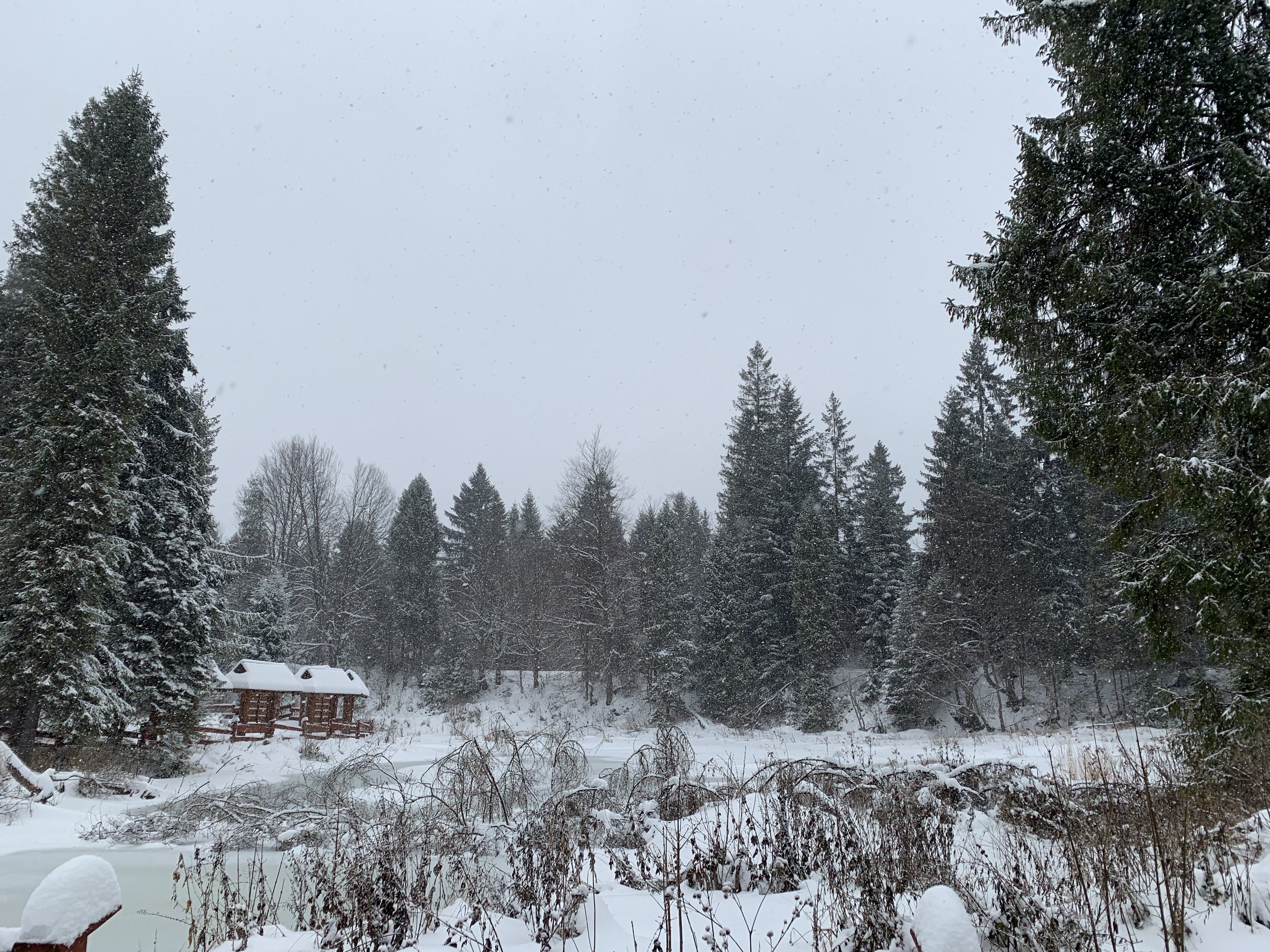 Wonderful winter time in Bieszczady